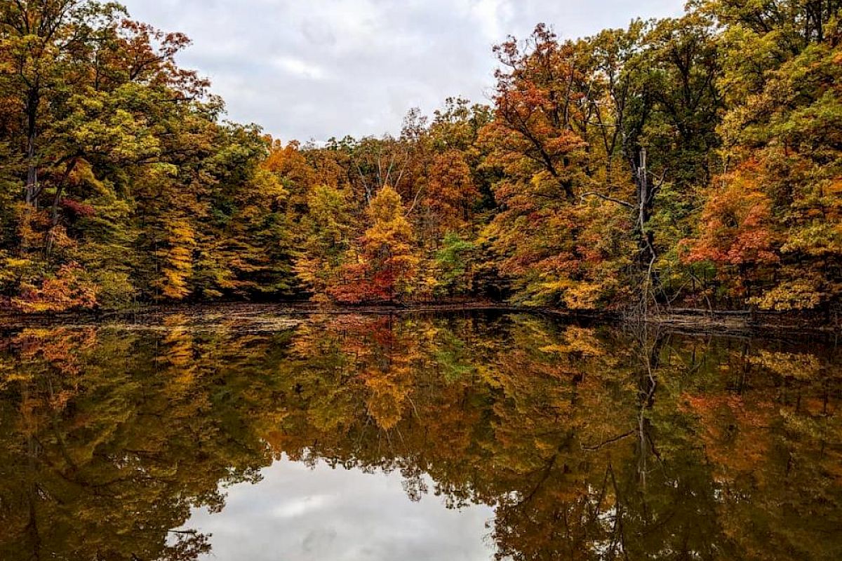 A serene lake reflecting colorful autumn trees with a cloudy sky above, creating a tranquil and picturesque scene.